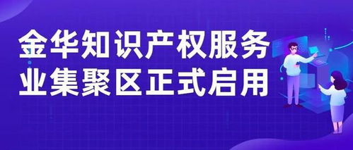 家門口就能辦 金華知識產權服務業集聚區正式啟用，服務發展新動能