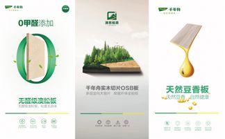 千年舟20歲獻禮 凈醛產品引領0醛時代，知識產權鑄就綠意未來